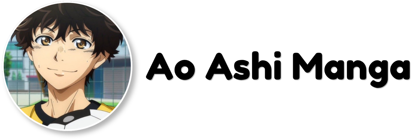 aoshimanga.online